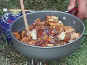 野餐红烧肉