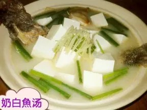 奶白魚湯