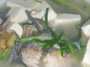 鯽魚豆腐湯