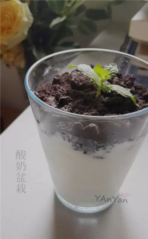 盆栽酸奶小清新