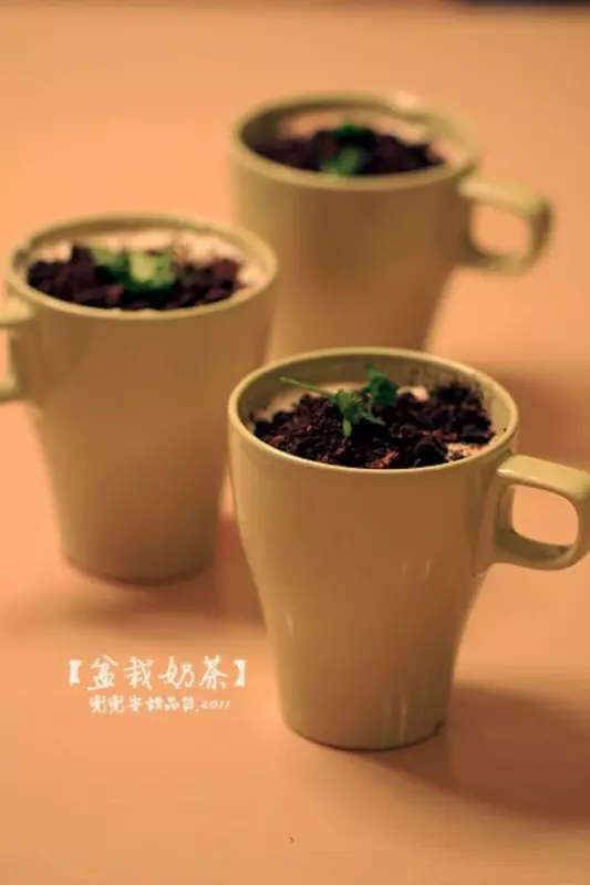 盆栽奶茶