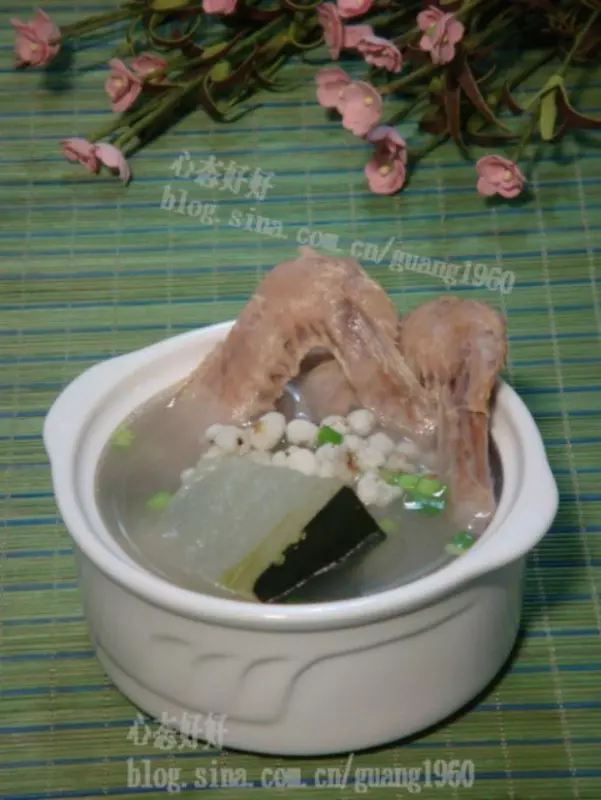 薏米冬瓜煲鴨湯