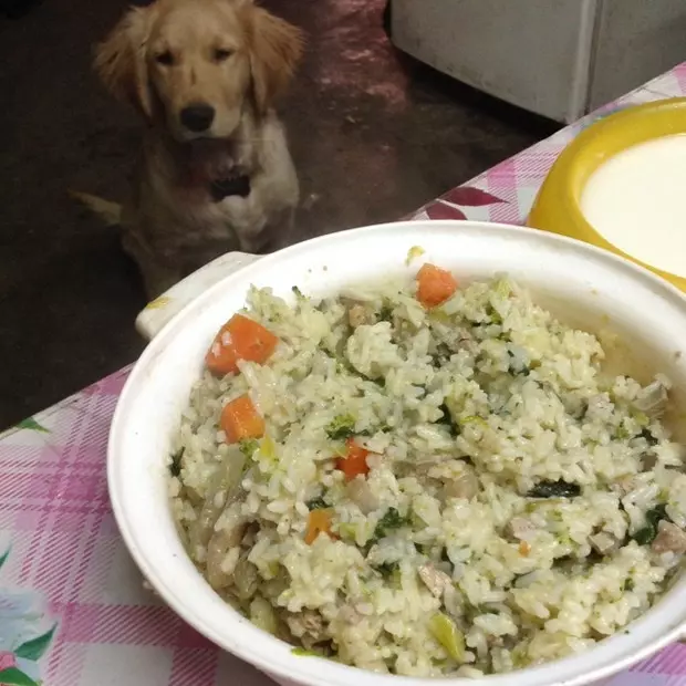 狗狗營養餐