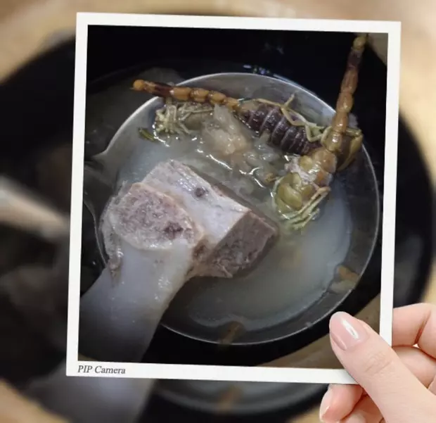 祛湿散结汤——猪骨茯苓蝎子汤