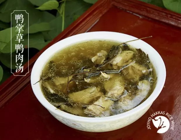 客家菜：鴨掌草鴨肉湯