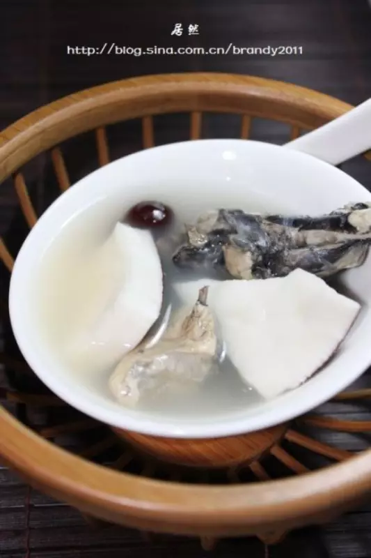 椰子牛奶竹絲雞湯