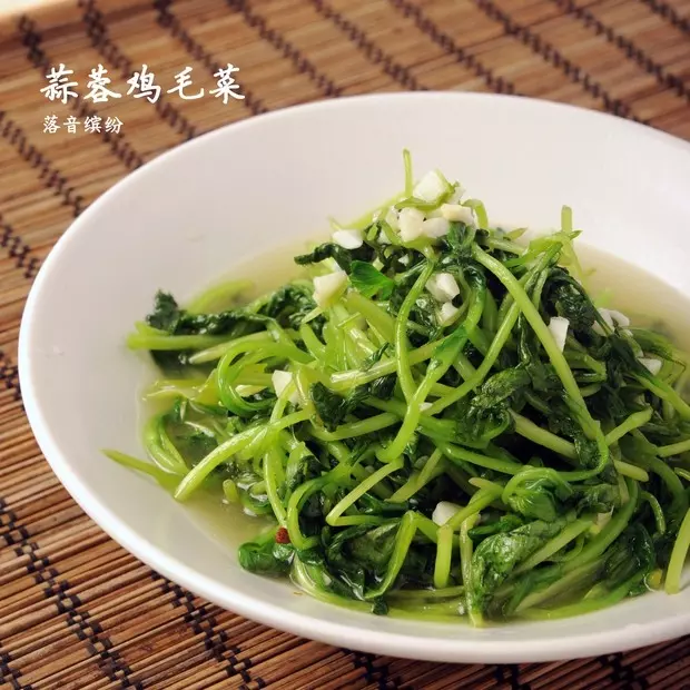 蒜蓉鸡毛菜