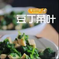 豆丁菜葉的做法