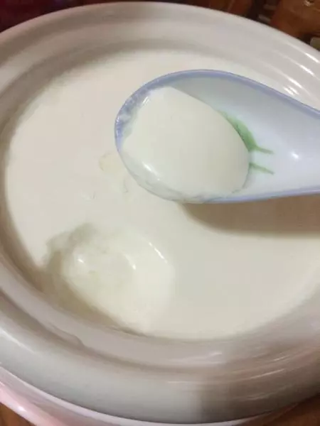 自制酸奶简单100%成功