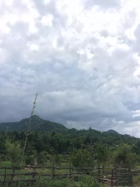 新手必備溶豆豆還有美麗的風景