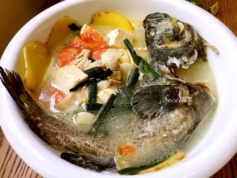 豆腐青斑鱼汤