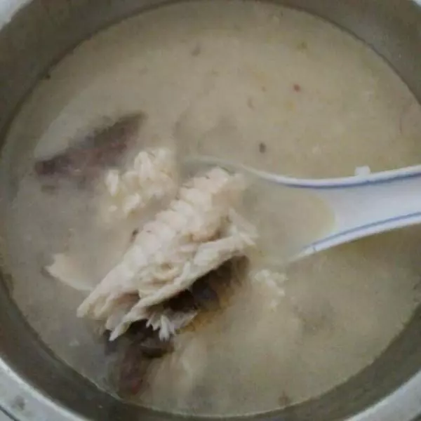 奶白甜酒鯽魚湯