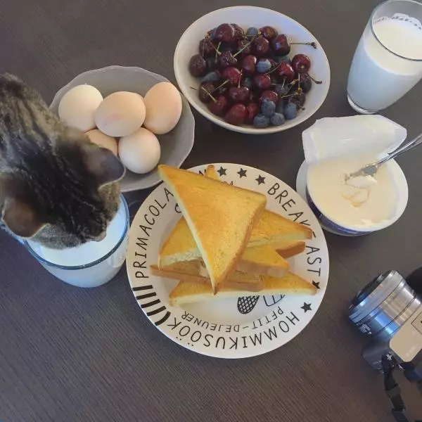 每天吃早饭