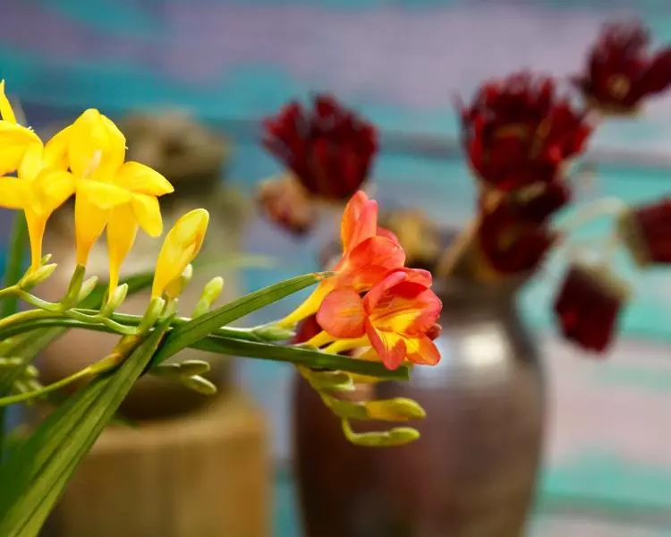 餐桌装饰（鲜花和自制乾花）