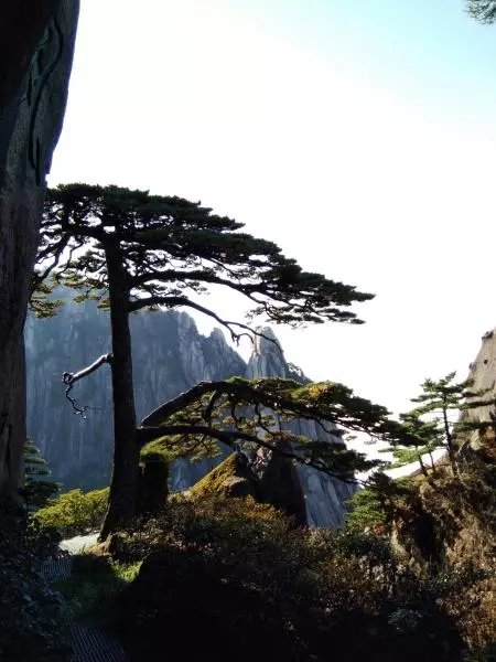 九月初九登黄山