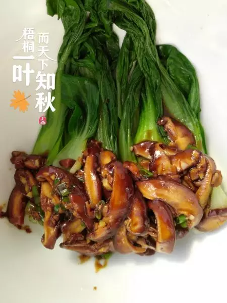 香菇油菜