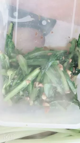 蒜蓉蚝油油麥菜