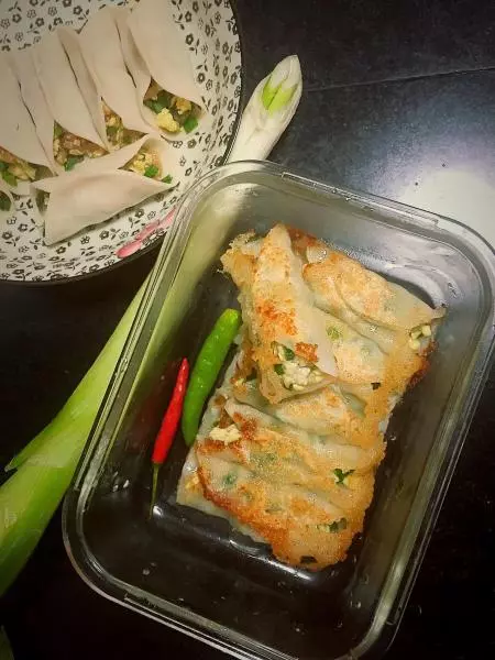 简易版煎饺/三鲜锅贴