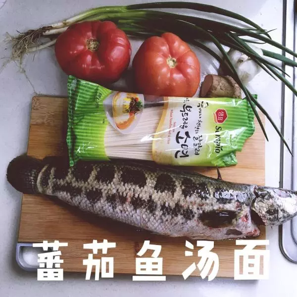 蕃茄魚湯麵