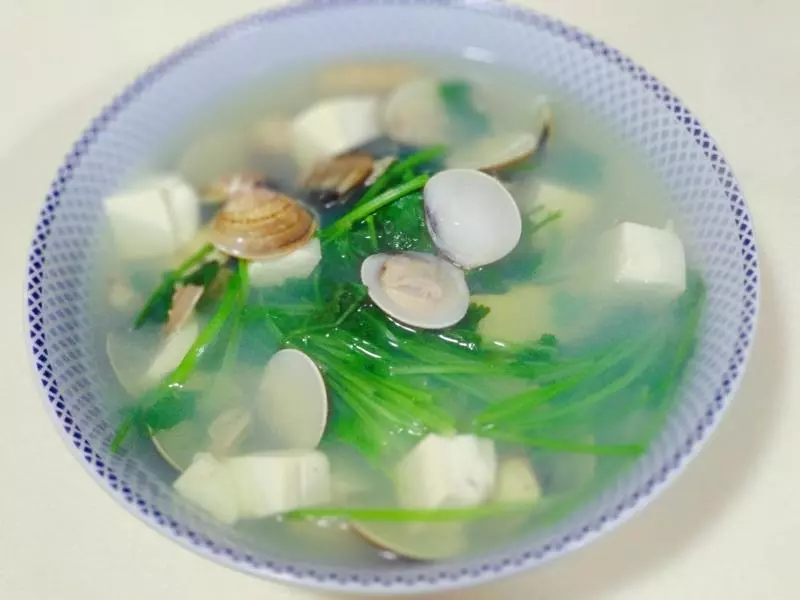 沙白香菜豆腐湯