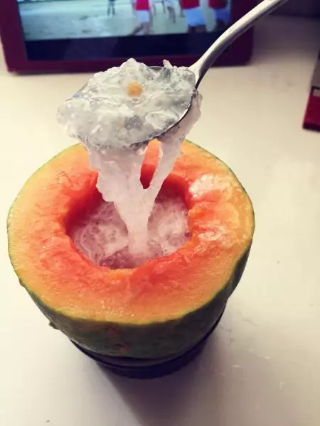 椰汁木瓜炖雪燕