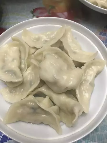 白菜猪肉饺子