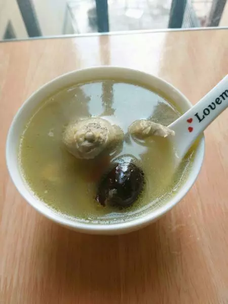 新鮮鴿子湯