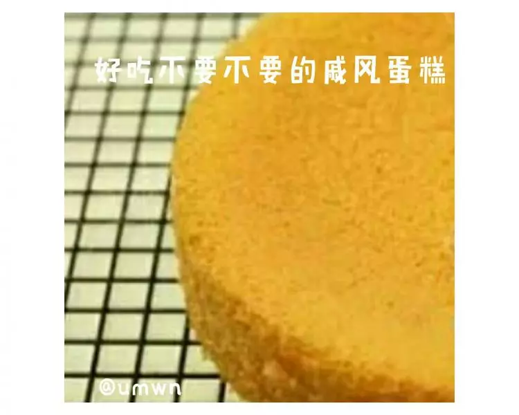 蛋荒拯救——兩蛋戚風