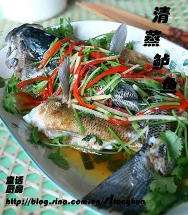 清蒸鱸魚