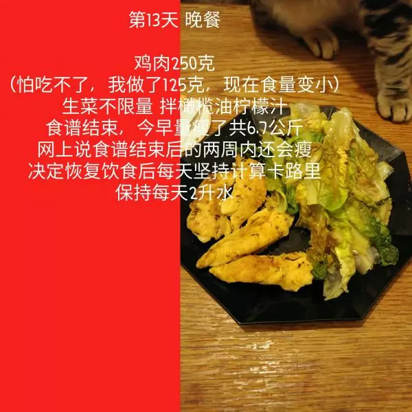 第一次哥本哈根13天減肥食譜