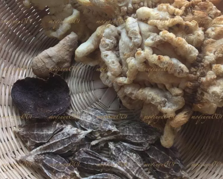 海雀魚膠煲扇骨