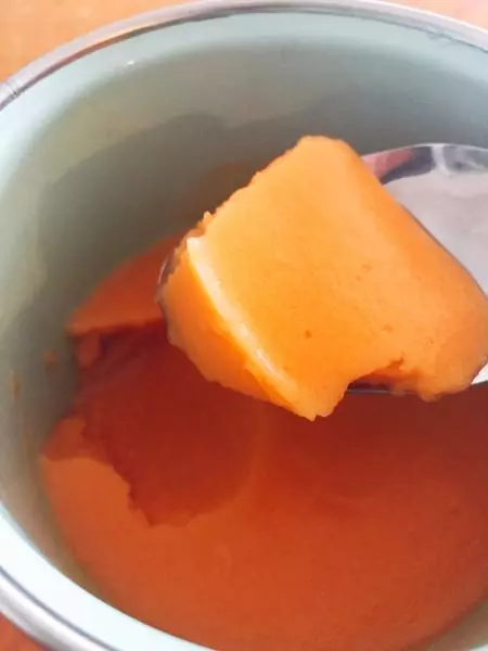 木瓜炖牛奶（料理机快手版）