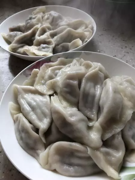 牛肉洋葱韭菜饺子