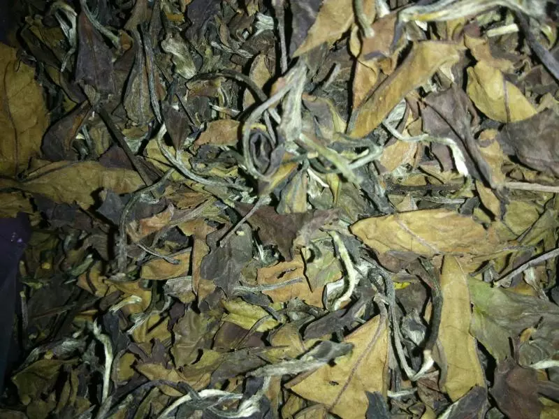 泡老貢眉散茶