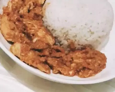 印尼辣酱烩鸡胸盖饭