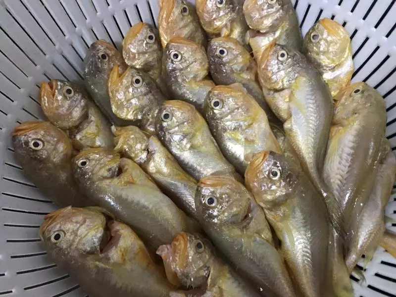 蕃茄洋蔥獅頭魚湯