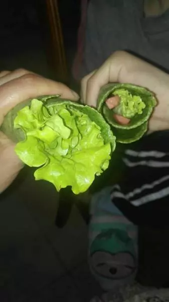 菠菜汁煎饼