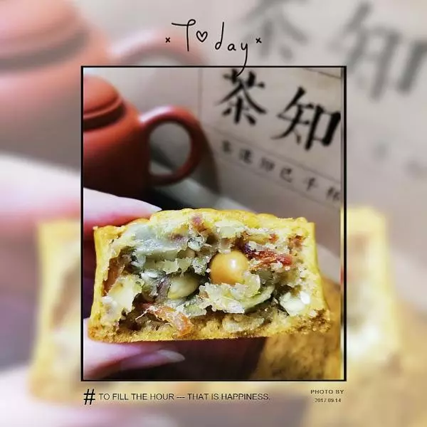 广式铂金版九仁叉烧月饼