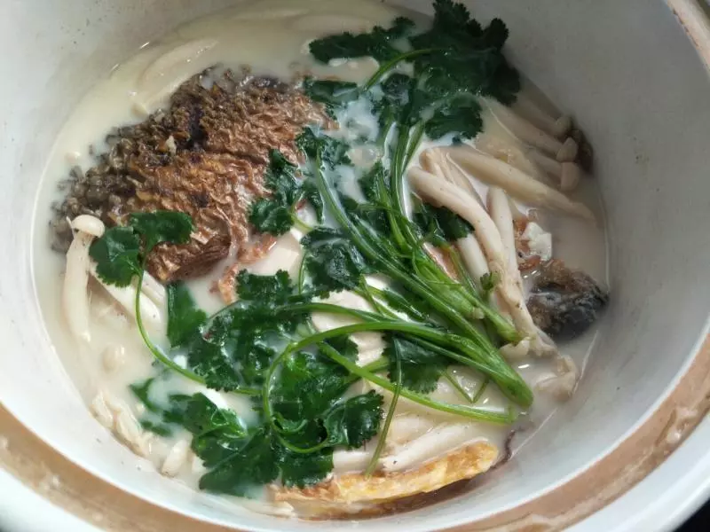 豆腐鯉魚湯