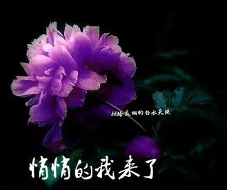 生活是一碗湯