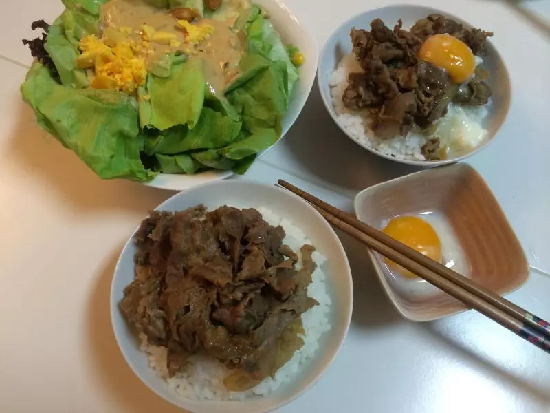 日本牛肉丼 吉野家松屋牛肉飯