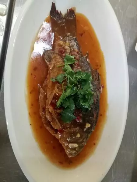 豆瓣鯽魚