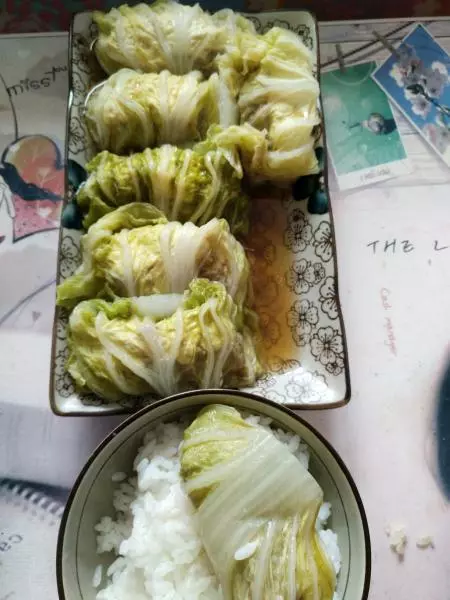 披著白菜的肉