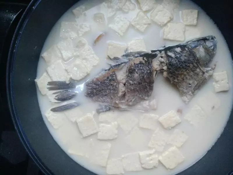 奶白色的鲫鱼豆腐汤