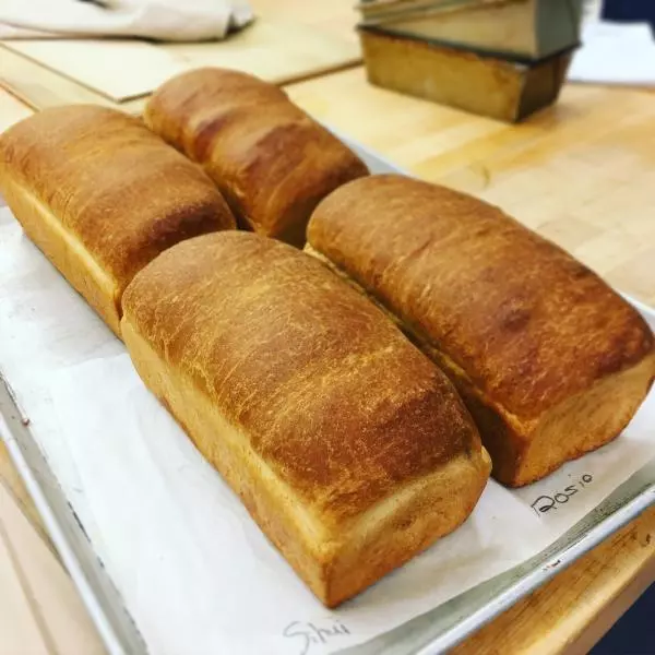 Whole Wheat&amp;Honey Pan Bread