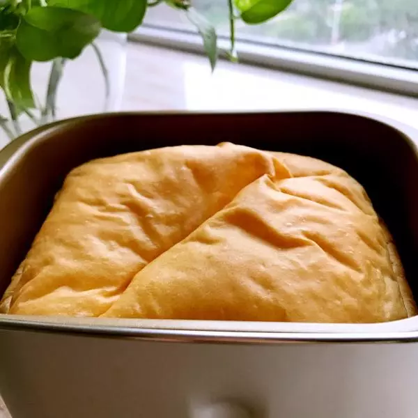 面包机面包处女做