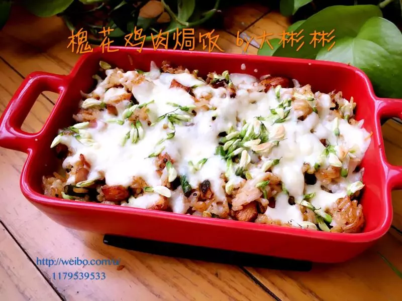 【野菜季】槐花雞肉焗飯