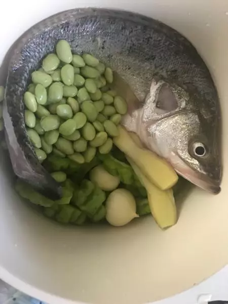 海鲈鱼苦瓜汤