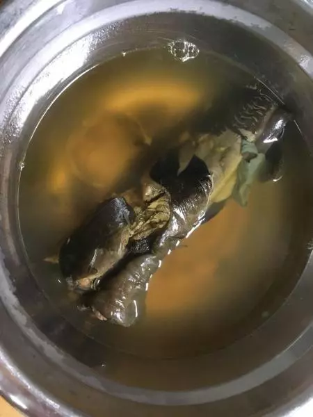 恩平特色湯地柏煲鰍魚