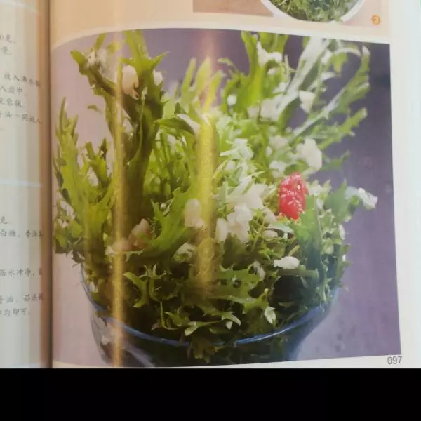 涼拌苦菊